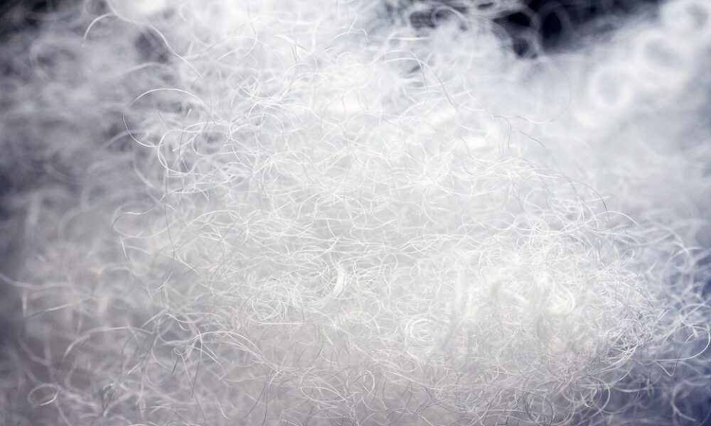 QCO removal lifts apparel sector; polyester yarn growth to stay flat