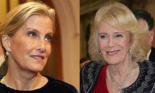 Queen Camilla, Duchess Sophie show royal power, glamour at London awards