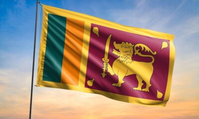 Sri Lanka targets lower debt ratio with new budget: Fitch