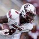Texas A&M officer scolds South Carolina wide receiver after touchdown; department speaks out