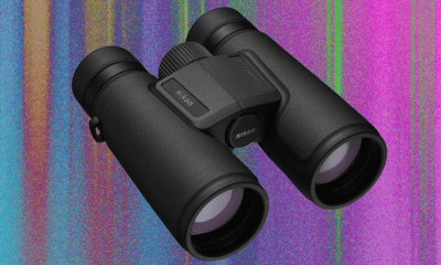 The Best Binoculars Will Help You Find the Ivory Billed Woodpecker