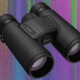The Best Binoculars Will Help You Find the Ivory Billed Woodpecker