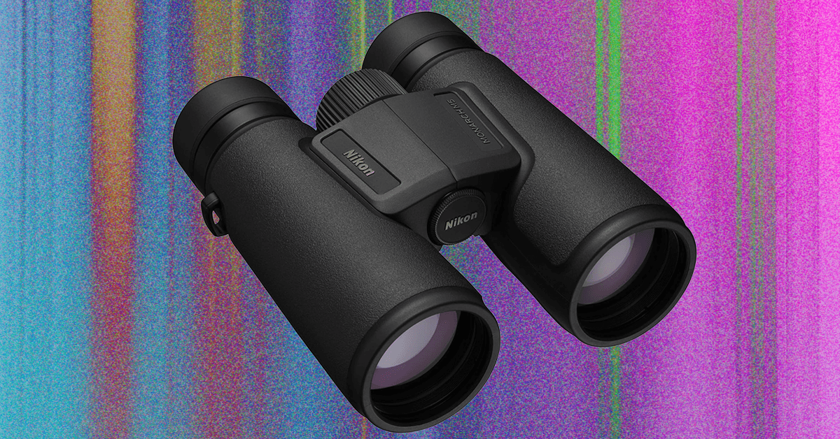 The Best Binoculars Will Help You Find the Ivory Billed Woodpecker