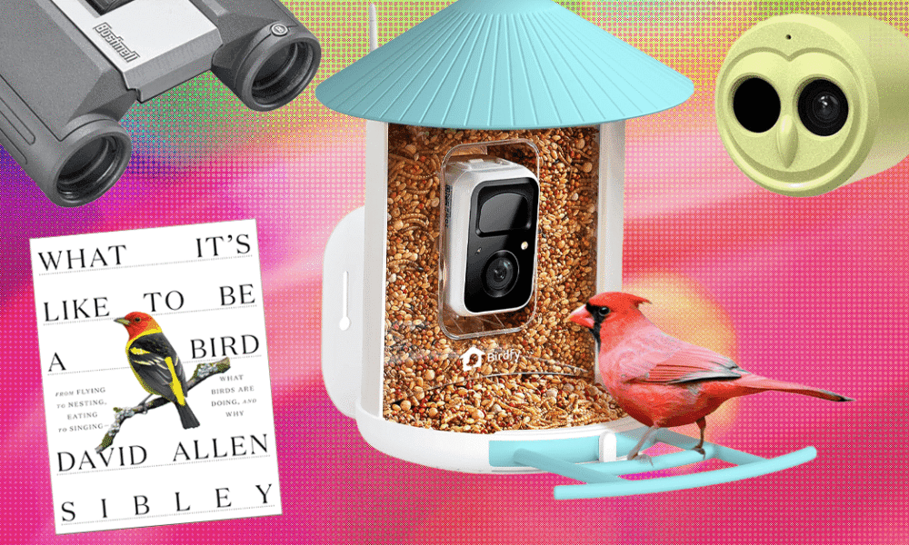 These Are Our 19 Favorite WIRED Gifts for Bird Lovers