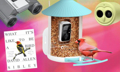 These Are Our 19 Favorite WIRED Gifts for Bird Lovers