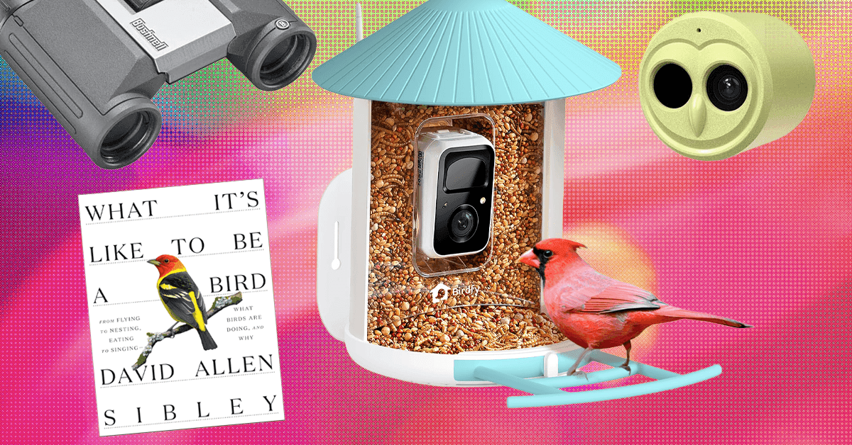These Are Our 19 Favorite WIRED Gifts for Bird Lovers
