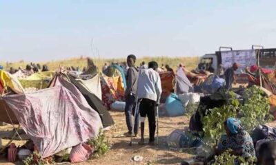 Men shot by hundreds, disappeared after ‘Sudanese city falls to paramilitaries’