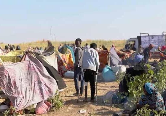 Men shot by hundreds, disappeared after ‘Sudanese city falls to paramilitaries’