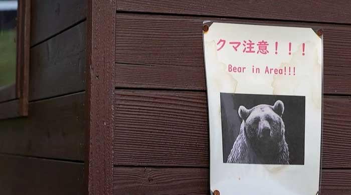 Japan battles spike in bear attacks