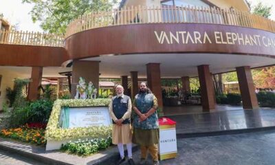 After Ambani zoo probe, wildlife body reverses call to curb animal imports to India