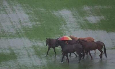 Severe floods displace thousands in Thailand and Malaysia, at least 8 killed