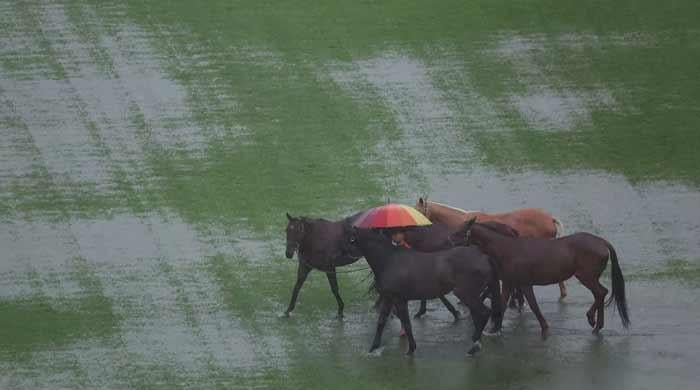Severe floods displace thousands in Thailand and Malaysia, at least 8 killed