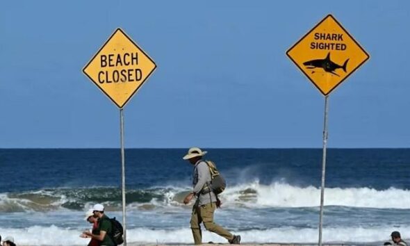 Shark kills swimmer, injures another in dawn attack on Australian beach