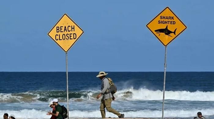 Shark kills swimmer, injures another in dawn attack on Australian beach