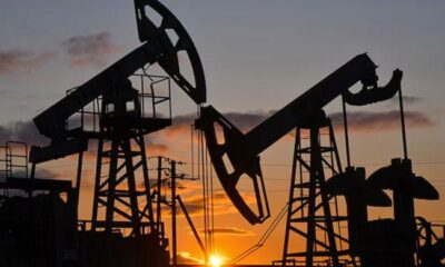 How successful has OPEC+’s oil output policy been in 2025?