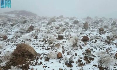 Saudi Arabia, Qatar have a white winter as snowfall hits northern areas