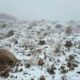 Saudi Arabia, Qatar have a white winter as snowfall hits northern areas