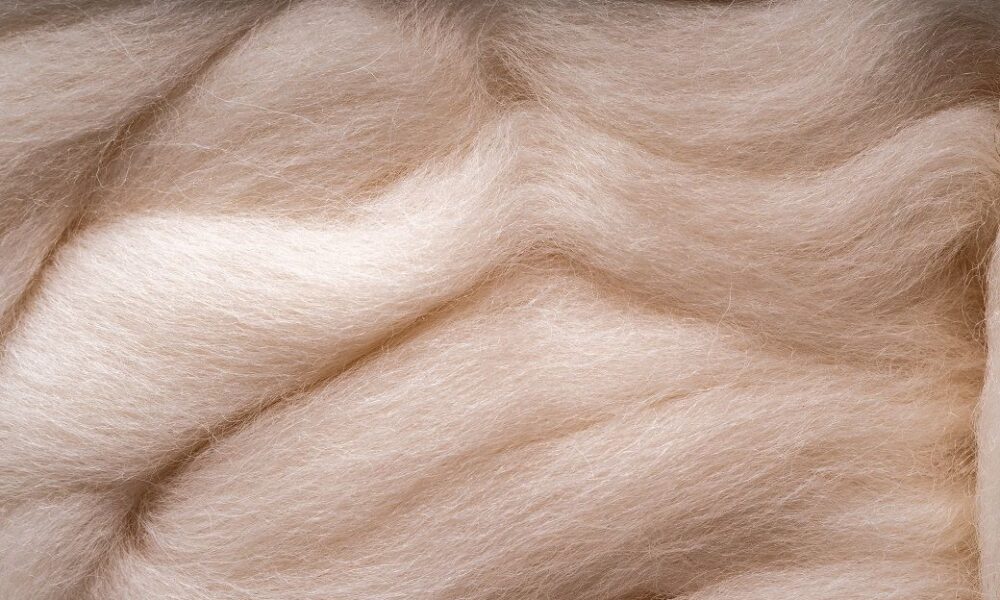 Australian wool lifts this week on strong demand, tighter supply