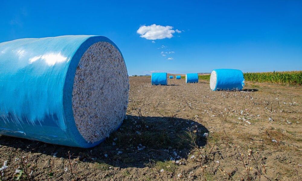 CAI seeks scrapping of India’s 11% cotton duty to protect industry