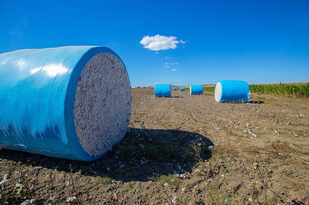 CAI seeks scrapping of India’s 11% cotton duty to protect industry