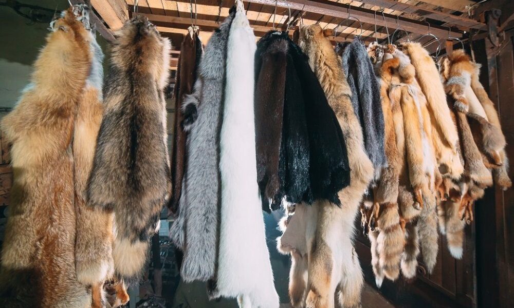 CFDA to implement fur ban at NYFW from September 2026