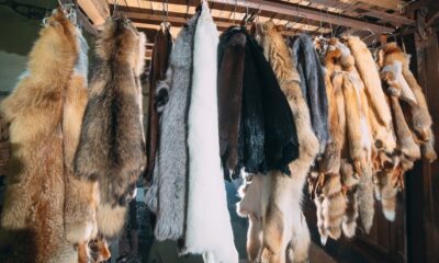 CFDA to implement fur ban at NYFW from September 2026