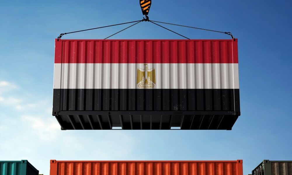 Egypt’s RMG exports up 22% YoY to .8 bn in Jan-Oct 2025