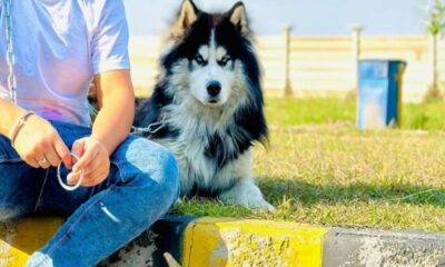 FIR filed as former cricketer Nida Dar’s pet dog goes missing – SUCH TV