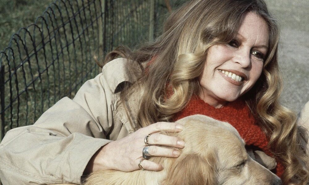 French split over Brigitte Bardot tribute due to her far right views