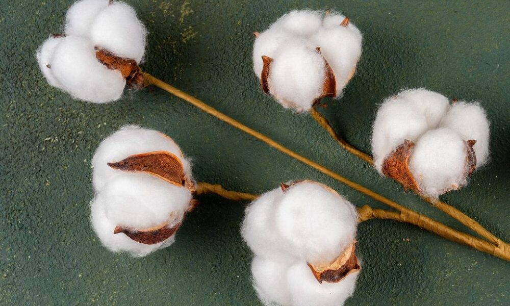 ICE cotton futures slide on weak US exports, rising supply pressure