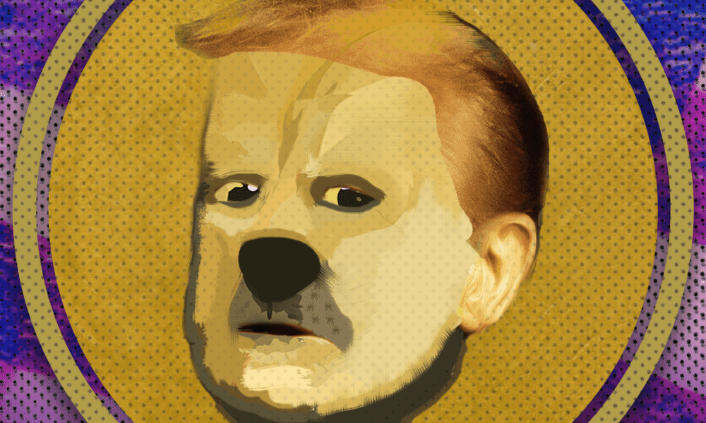 In Cryptoland, Memecoin Fever Gives Way to a Stablecoin Boom