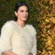 Kendall Jenner gives update on Christmas plans with family