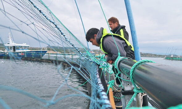 MIT Sea Grant students explore the intersection of technology and offshore aquaculture in Norway