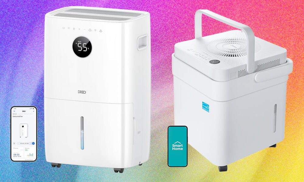 Mold Is the Enemy. A Good Dehumidifier Is the Solution