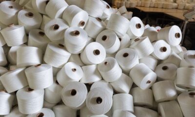 North India cotton yarn steady, falling rupee helps in export