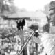Reclaiming Jinnah’s Pakistan