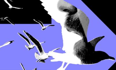 The Most Powerful Politics Influencers Barely Post About Politics