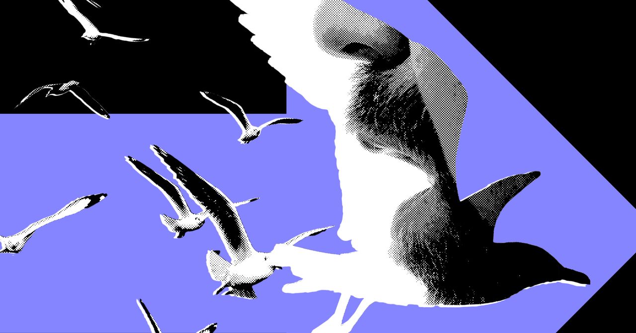 The Most Powerful Politics Influencers Barely Post About Politics