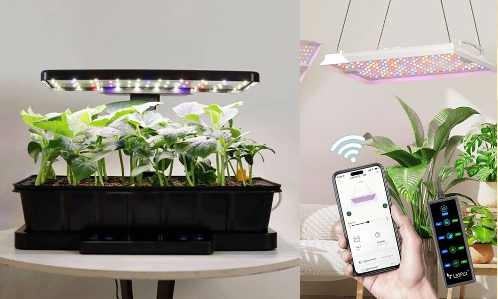 These Are My Favorite Plant and Gardening Gifts From LetPot