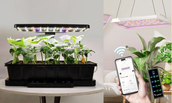 These Are My Favorite Plant and Gardening Gifts From LetPot