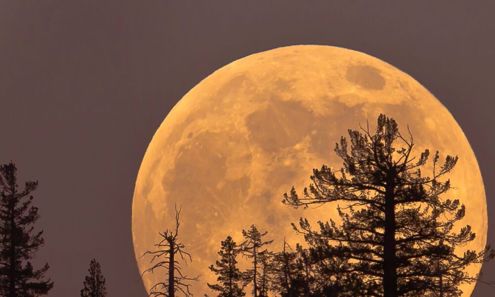 Thursday’s Cold Moon Is the Last Supermoon of the Year. Here’s How and When to View It