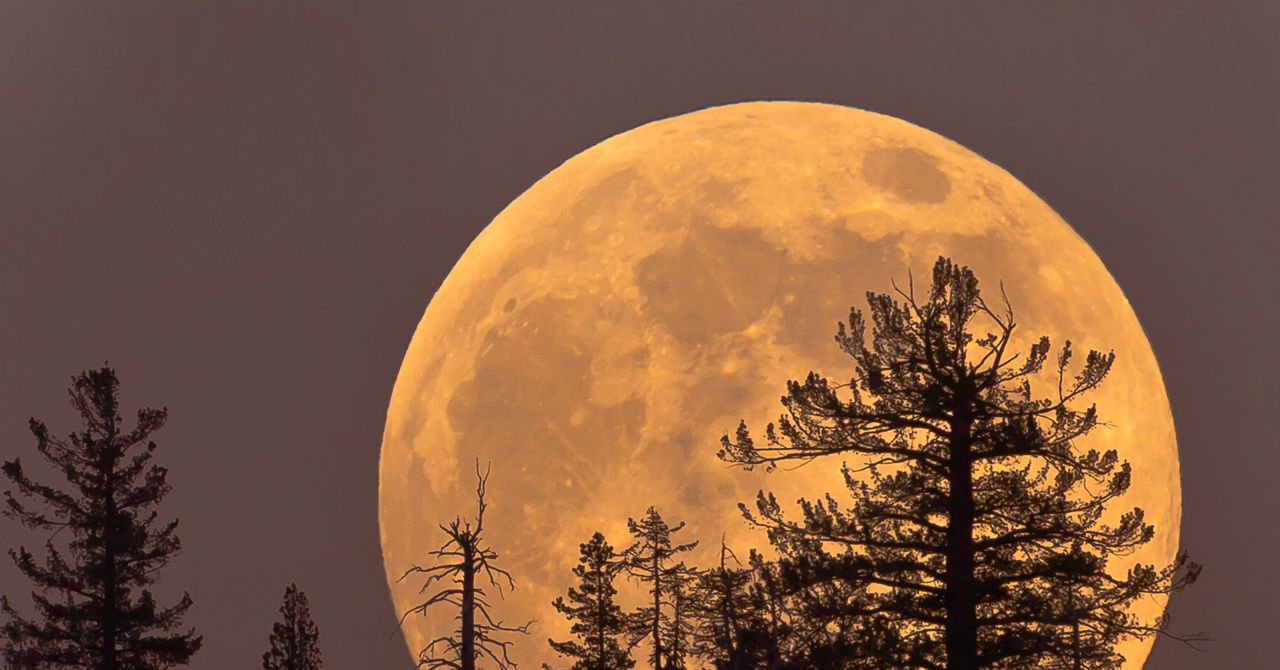 Thursday’s Cold Moon Is the Last Supermoon of the Year. Here’s How and When to View It