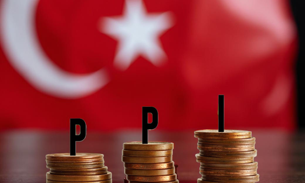 Turkish Nov domestic producer price index for textiles up 19.98% YoY