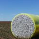 Upland sales down 41%, Pima demand muted in week ending Oct 30: USDA