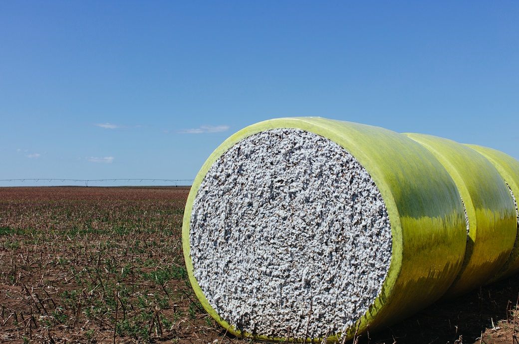 Upland sales down 41%, Pima demand muted in week ending Oct 30: USDA