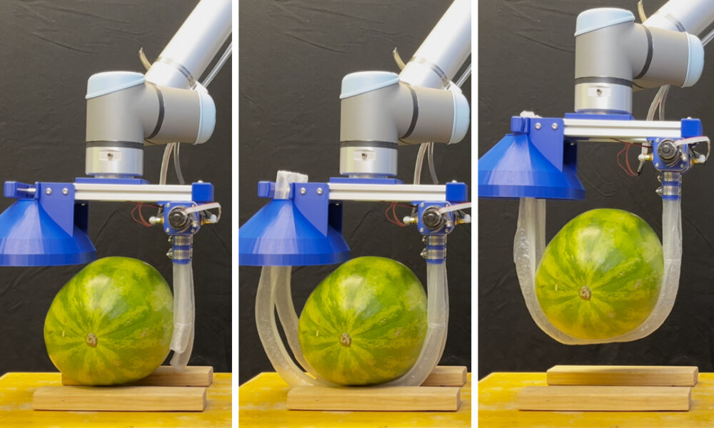 Vine-inspired robotic gripper gently lifts heavy and fragile objects