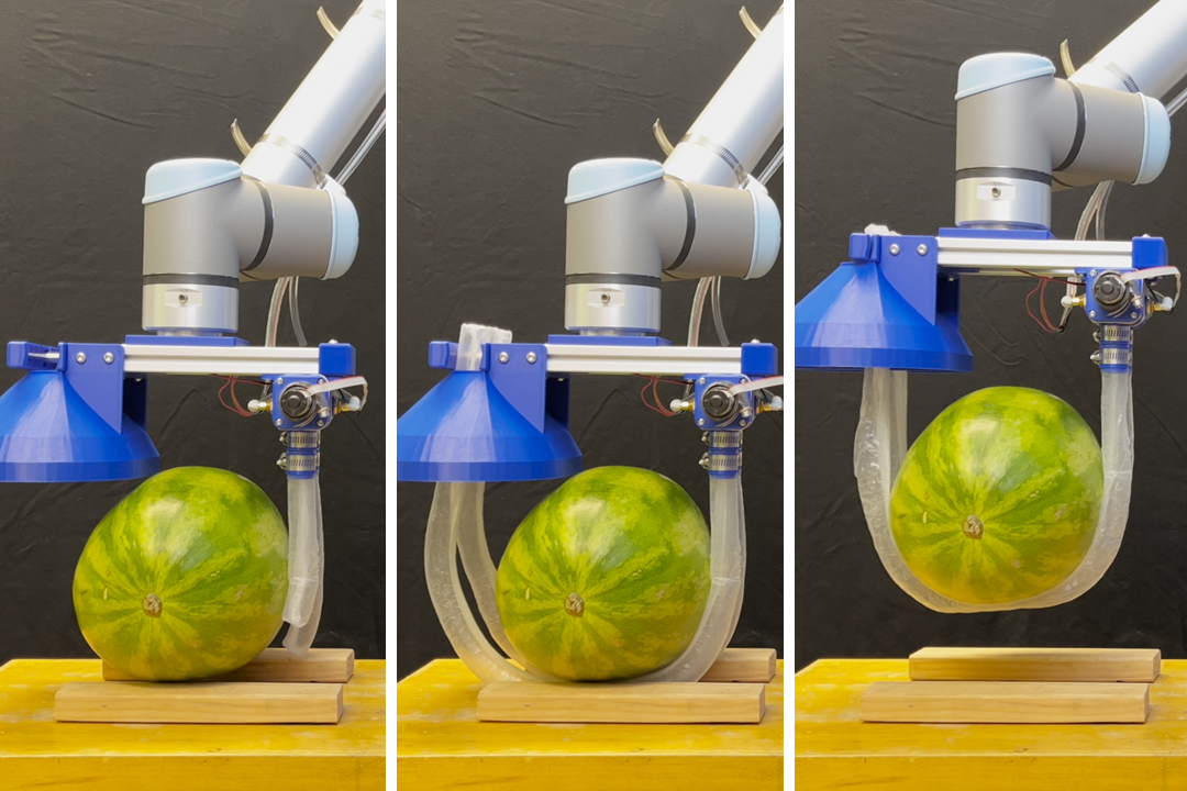 Vine-inspired robotic gripper gently lifts heavy and fragile objects