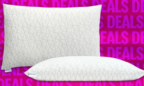 We Just Found Out Taylor Swift Sleeps on a Coop Pillow—They’re Having a Flash Sale to Celebrate