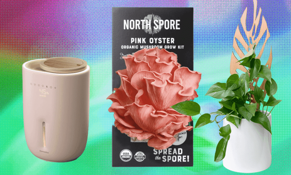 We Tried and Tested the Best Gifts for Plant Lovers With Our Own Green Thumbs