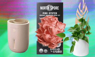 We Tried and Tested the Best Gifts for Plant Lovers With Our Own Green Thumbs